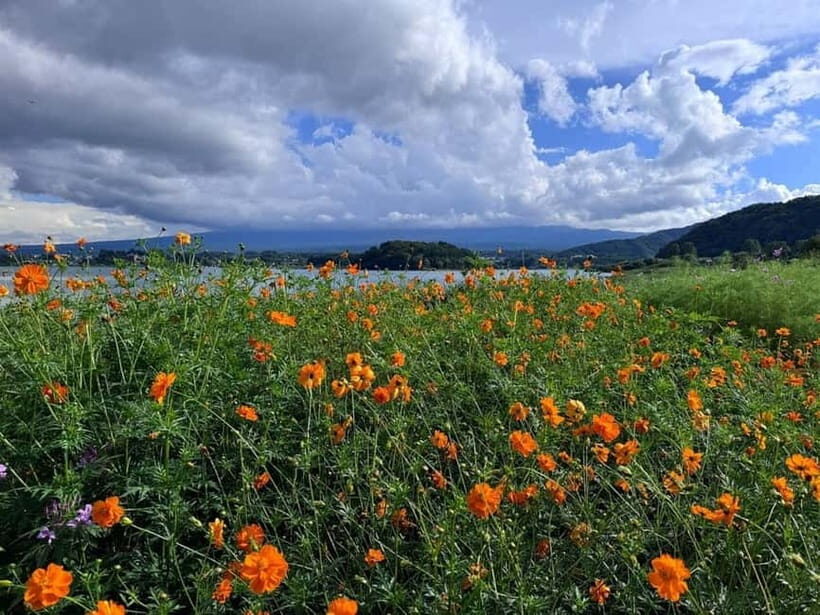 Mt. Fuji Private Tour With Hotel Pick Up From Tokyo - FAQ
