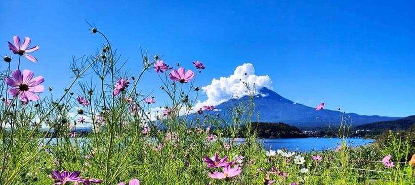 Mt. Fuji Private Tour With Hotel Pick Up From Tokyo - Tokyo Hotel Pickup Makes This Fuji Day Feel Like a Real Trip