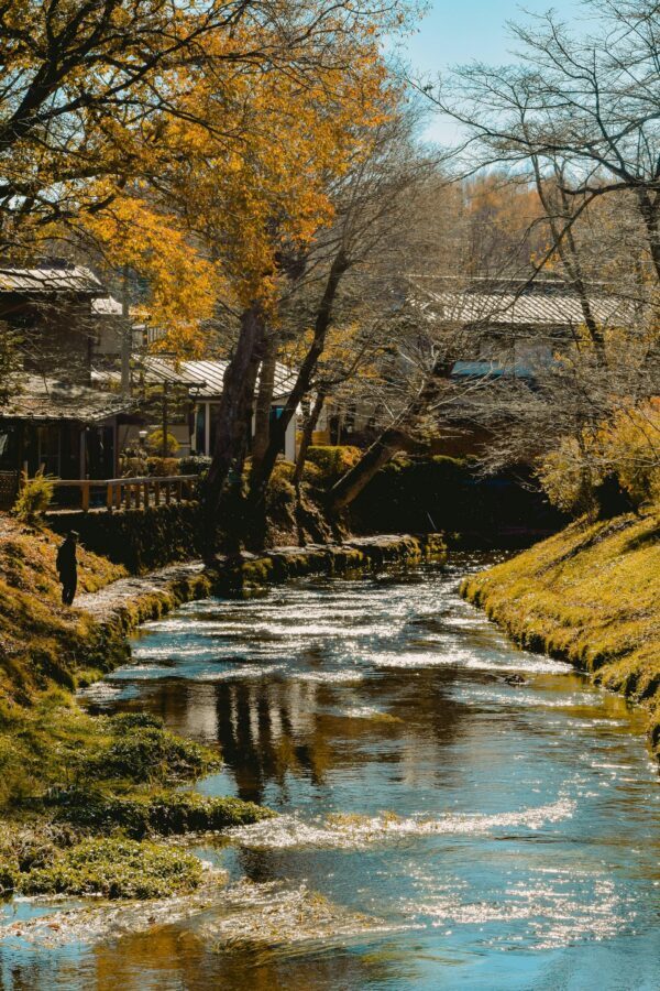 Mt. Fuji Private Tour With Hotel Pick Up From Tokyo - Should You Book This Mt. Fuji Private Tour?