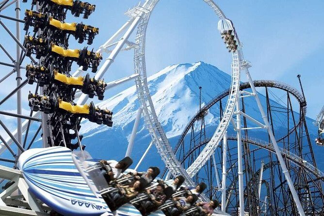 Mt Fuji Private Tour with Native Japanese Driver - Price and Value: What You’re Really Paying For