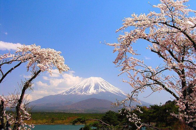 Mt Fuji Private Tour with Native Japanese Driver - Driver Communication in Tokyo: Mobile Number Rules That Matter