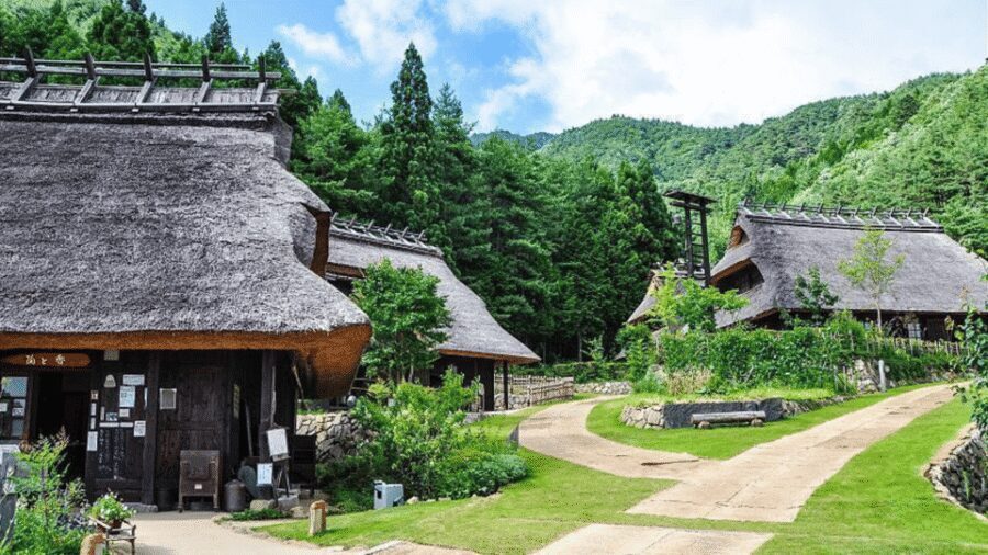 Mt Fuji Sightseeing Private tour with English Speaking Guide - Arakurayama Sengen Park and Chureito Pagoda: The Iconic Shot, the Real Lines