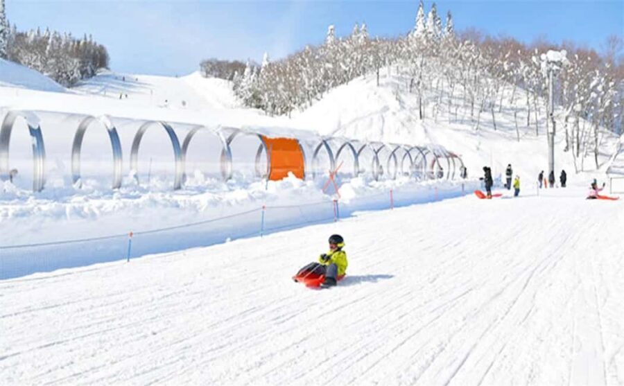 Mt. Fuji Skiing Experience- YETI Ski Resort & Onsen Day Trip - Picking your skill level: packages and equipment you should plan for