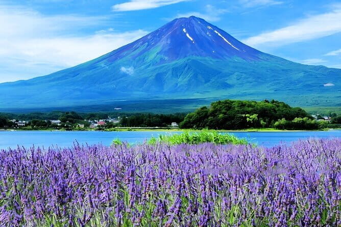 Mt Fuji Small Group 1 Day Tour Kawaguchi and Yamanaka with Pickup - Key highlights you’ll feel on the day