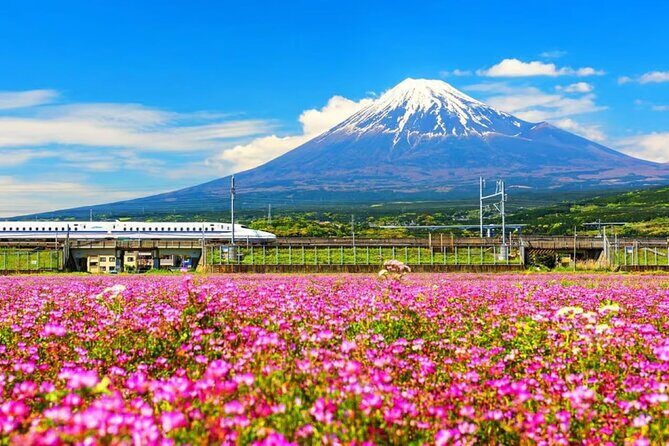 Mt. Fuji to Lake Kawaguchi, Lake Yamanaka and Onsen Day Tour - Mt. Fuji 5th Station: a high-altitude taste with included admission
