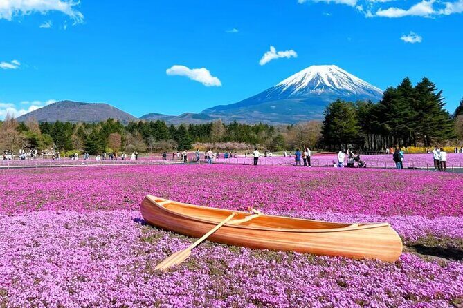 Mt. Fuji to Lake Kawaguchi, Lake Yamanaka and Onsen Day Tour - Lake Yamanaka and the Swan Lake boat option: calmer Fuji angles to keep the day from repeating