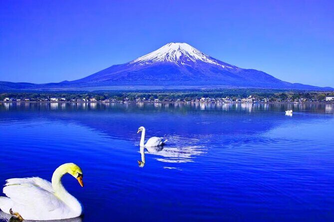 Mt. Fuji to Lake Kawaguchi, Lake Yamanaka and Onsen Day Tour - Awara Onsen hot spring break: relaxing time with tattoo entry rules to plan for