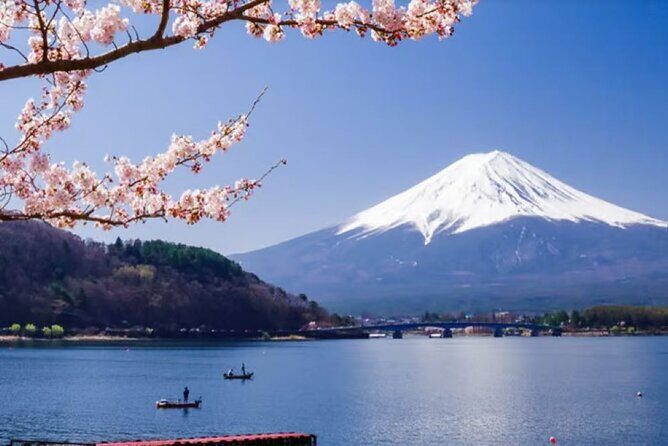Mt. Fuji to Lake Kawaguchi, Lake Yamanaka and Onsen Day Tour - Price and value of a $115 Mt. Fuji day tour with mostly included admissions