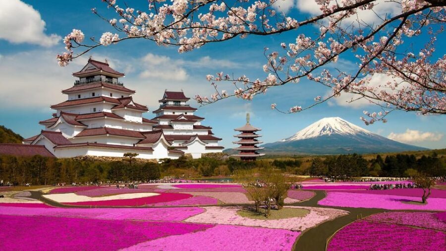 Mt Fuji Tour With Experienced English Driver - Quick key points you’ll care about