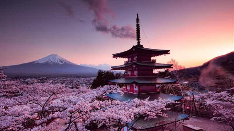 Mt Fuji Tour With Experienced English Driver - Mt Fuji 5th Station: the scale hit you can’t fake
