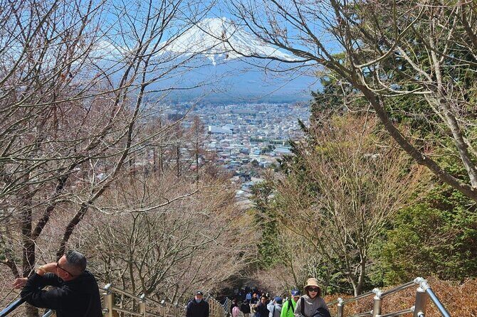 Mt.Fuji view Hakone Private tour with English speaking driver - Owakudani Great Boiling Valley: Volcanic Power, Real-Time Sensory Impact