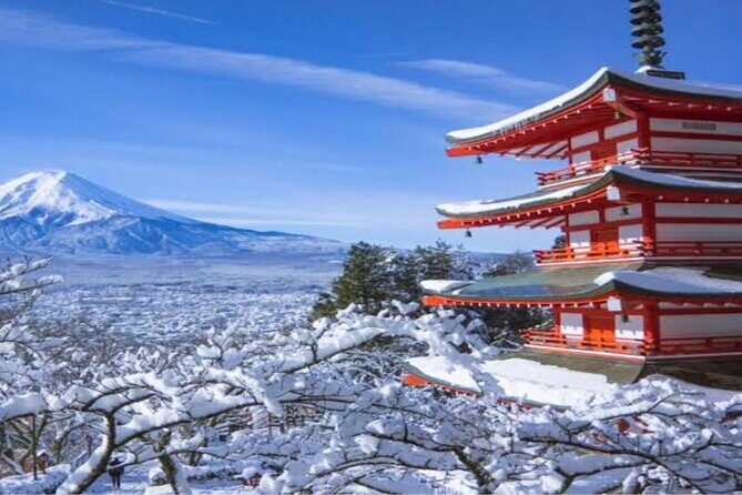MT FUJI with Private Tour - A private Mt. Fuji day trip that keeps the pace human