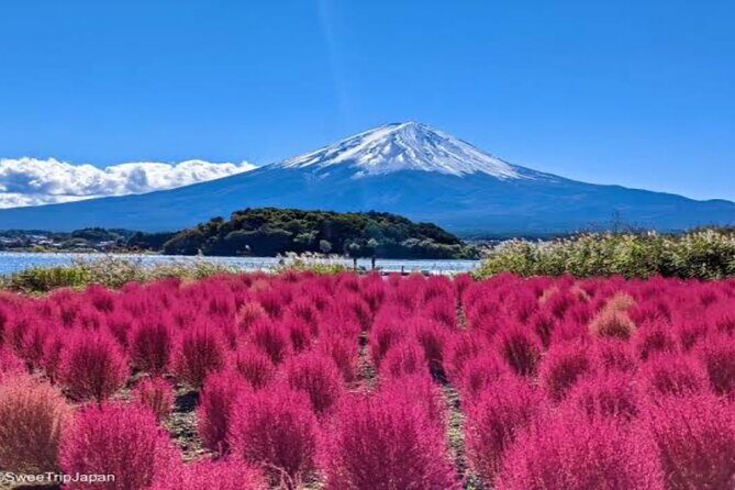 MT FUJI with Private Tour - Stop 1: Mt. Fuji 5th Station for the classic view