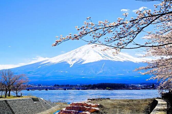 MT FUJI with Private Tour - Lake Yamanaka and the lakeside rhythm of Fuji Five Lakes