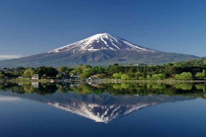 MT FUJI with Private Tour - Narusawa Ice Cave: a cool walk inside volcanic history
