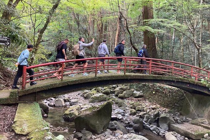 Mt. Inunaki Trekking and Goma Prayer Experience in Osaka - Key highlights to look for