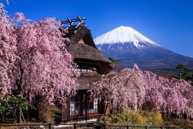 Muslim Friendly Mt. Fuji Tour with Halal Lunch and Prayer Time - Meeting point reality: timing, mobile ticket, and group vibe
