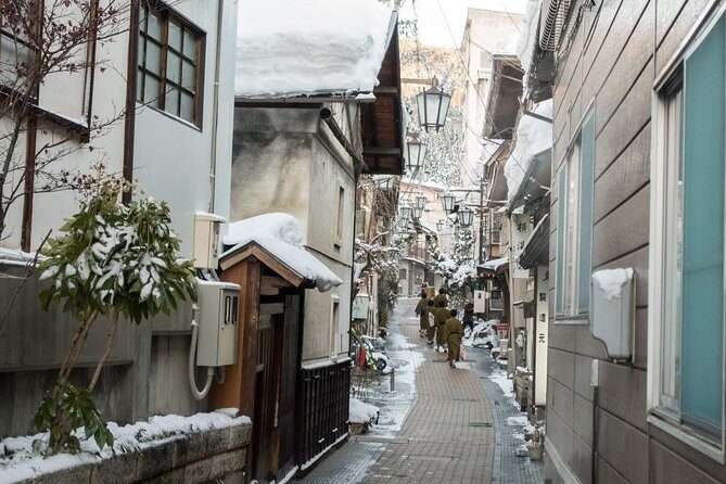 Nagano Private Two Day Tour - Who should book this Nagano private 2-day tour