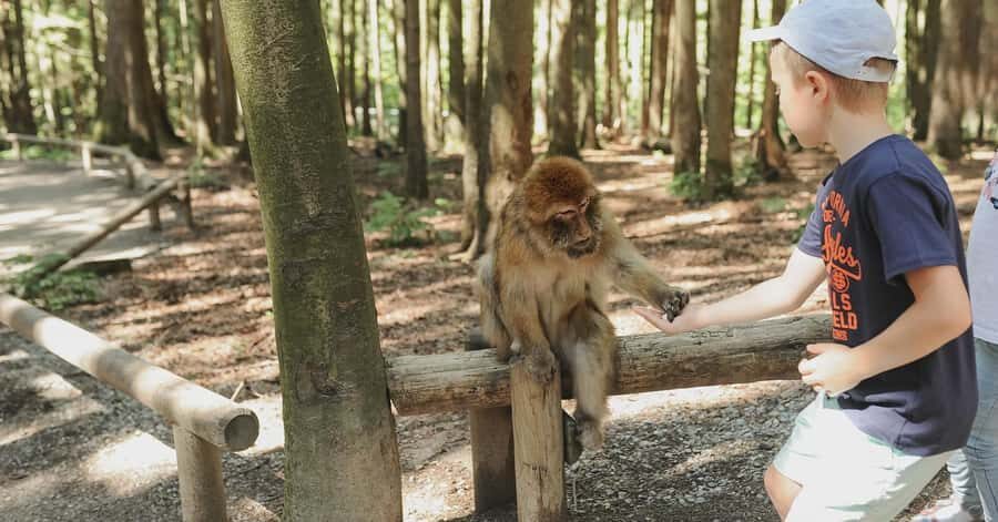 Nagano: Snow Monkey Private Instagramable Day Tour Low Price - Shibu Onsen: narrow streets, public baths, and a slow hot-spring vibe