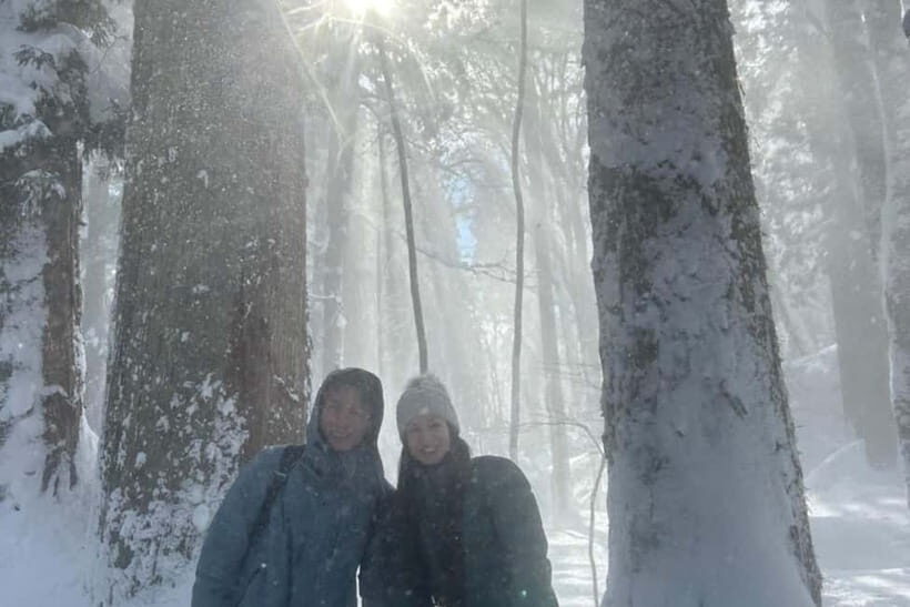 Nagano: Snow Monkeys & Togakushi Shrine Two-Spot in-One Day - Price and Value: What You’re Really Paying For