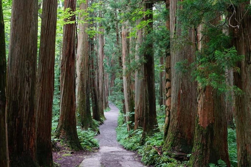 Nagano: Snow Monkeys & Togakushi Shrine Two-Spot in-One Day - Timing and Travel Flow: How to Keep the Day Relaxed