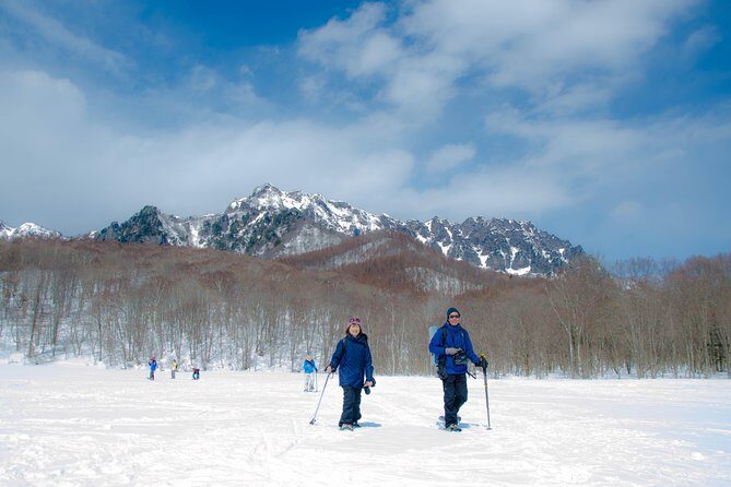 Nagano Snowshoe Hiking Tour - Quick hits before you go