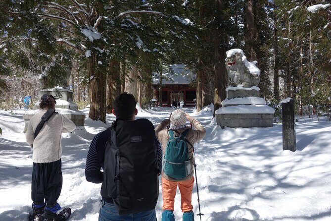 Nagano Snowshoe Hiking Tour - Should you book this Nagano snowshoe tour?