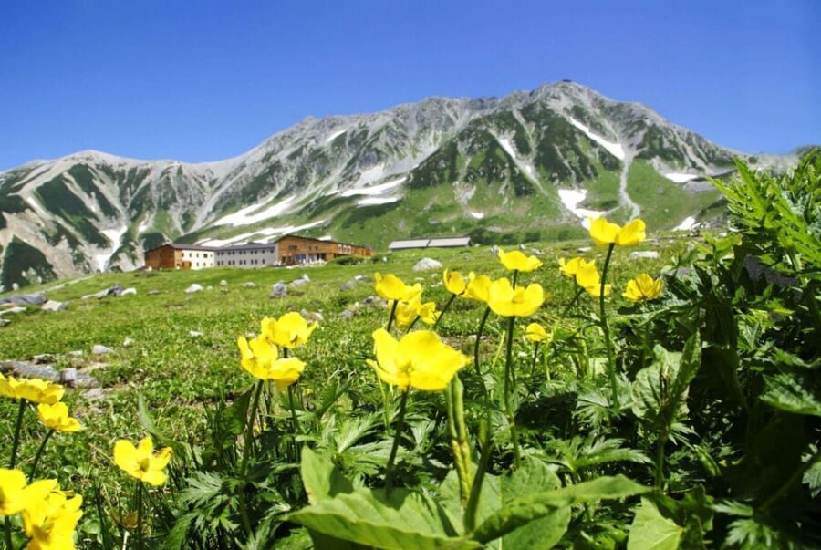 Nagano: Tateyama-Kurobe Guided Walking Tour - Quick highlights