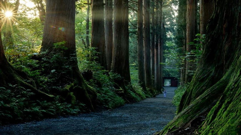 Nagano: Togakushi Shrine, Sake & Zenkoji Private Tour - Price and value: $190 per person for one smooth private day