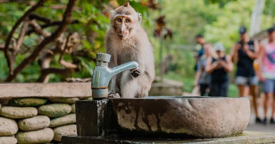 Nagano/Tokyo: Snow Monkey and Zenkoji Temple Private Tour - Obuse and the Hokusai Museum: a quieter Nagano break