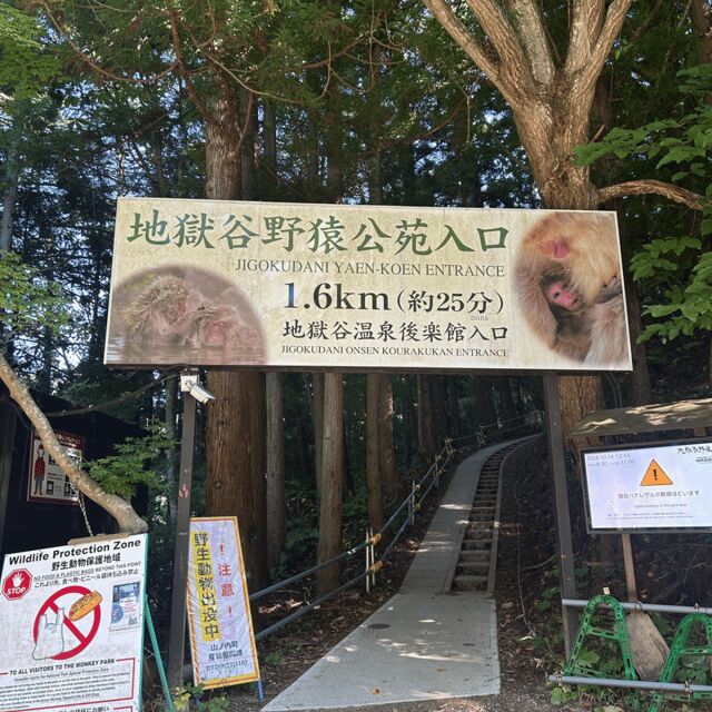 Nagano/Tokyo: Snow Monkey Private Day Tour At Lowest Rate - Key points that make this day trip work