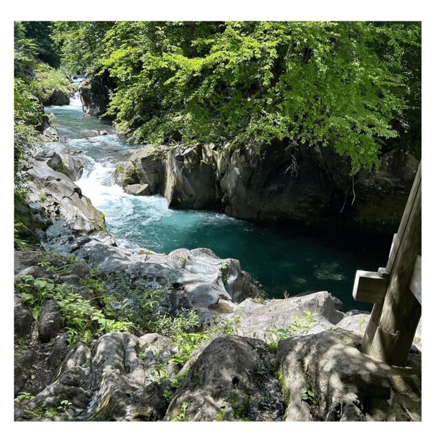 Nagano/Tokyo: Snow Monkey Private Day Tour At Lowest Rate - Private luxury transport: Vellfire comfort, Wi‑Fi, and driver help