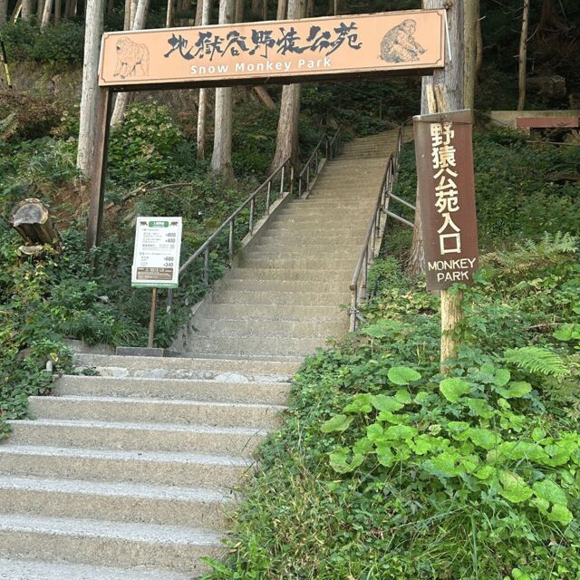 Nagano/Tokyo: Snow Monkey Private Day Tour At Lowest Rate - Zenko-ji Temple’s dark passage: spiritual stop with a literal twist