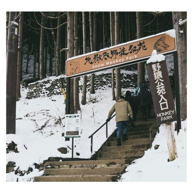 Nagano Tokyo: Snow Monkey Private Day Tour Hotel Pick & Drop - Jigokudani Monkey Park: the short walk that earns the big moment