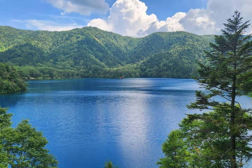 Nagano UNESCO Park: Emerald Acid Lake & Ghibli Onsen Town - Key Highlights Worth Clearing Your Calendar For