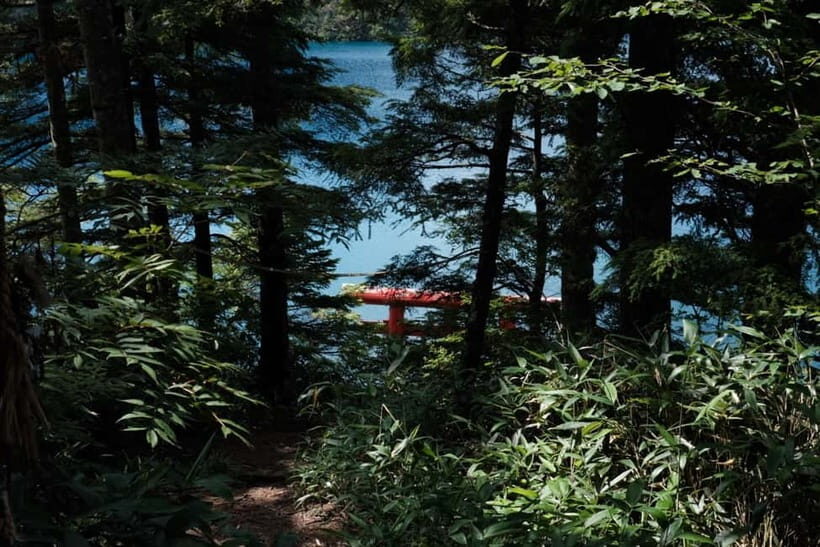 Nagano UNESCO Park: Emerald Acid Lake & Ghibli Onsen Town - Who Should Book This Tour (and who should skip it)