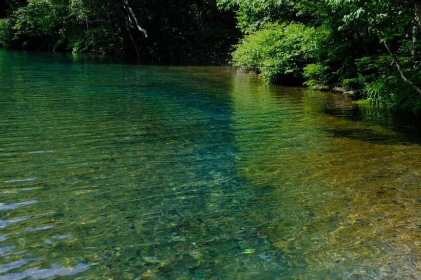 Nagano UNESCO Park: Emerald Acid Lake & Ghibli Onsen Town - Onuma Pond vs. Winter Alternatives: staying happy when snow changes plans