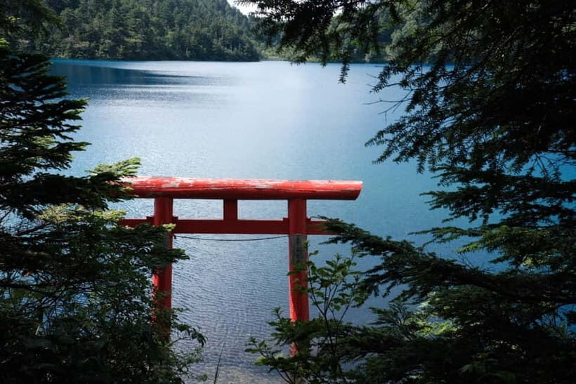 Nagano UNESCO Park: Emerald Acid Lake & Ghibli Onsen Town - Wildlife Encounters: what you can hope for (and what you can’t force)