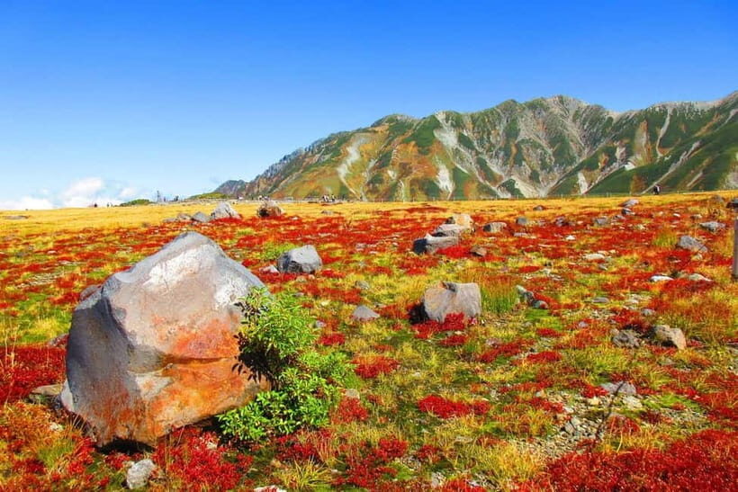 Nagano: World’s Edge Tateyama Kurobe Alpine Route Tour - Private Pickup From Nagano and Nearby: Less Driving, Less Stress