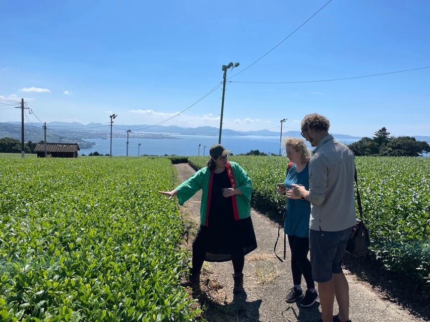 Nagasaki: Explore Japanese Teas on a Tea Tour - Why Nagasaki’s tea story feels more real than most