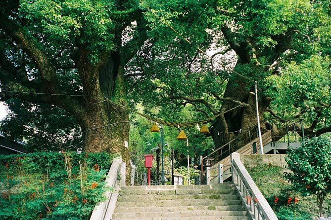 Nagasaki Peace Park and Atomic Bomb Museum - Nagasaki’s Peace Park: a memorial you can walk through