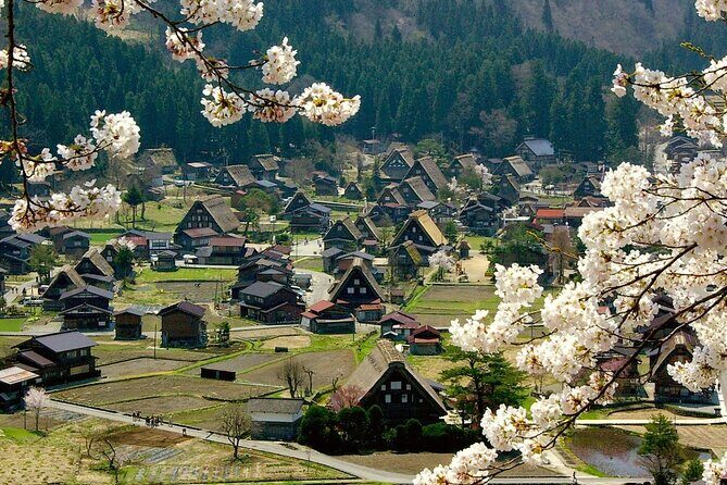 Nagoya: 2026 Hida Takayama Shirakawa-go Light-up Winter Tour - Who should book this tour, and who should skip it