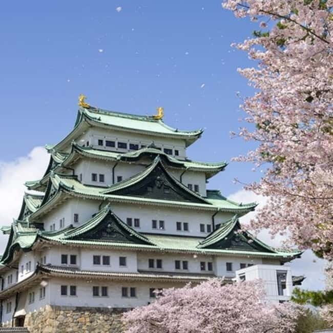 Nagoya 6hr Private Tour with Government-Licensed Guide - Price and Value: Is $106 Fair for a Half-Day Private Guide?