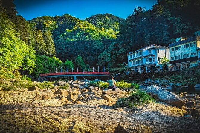 Nagoya: all-inclusive car tour to Korankei valley - Key highlights you’ll feel right away