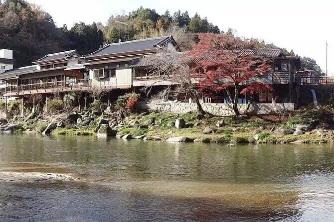Nagoya: all-inclusive car tour to Korankei valley - Getting picked up in Nagoya: a minivan day with fewer friction points