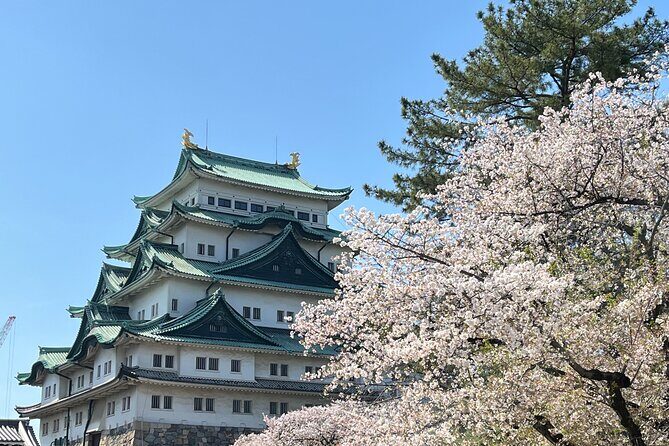 Nagoya: Best & Hidden Gems Private Guided Tour - A Fast 6-Hour Circuit of Nagoya You Can Actually Use