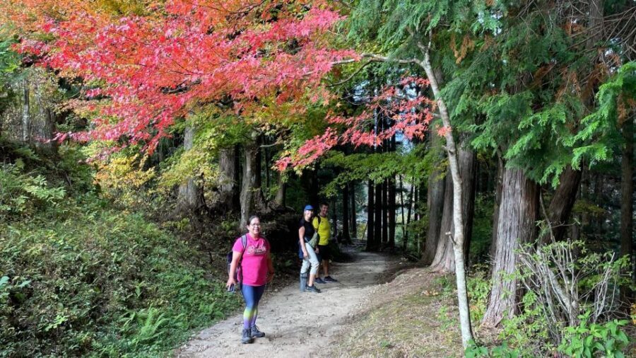 Nagoya: Full-day Kisoji Nakaendo Trail Tour - Nakasendo Trail walk: samurai-era roads without the navigation stress