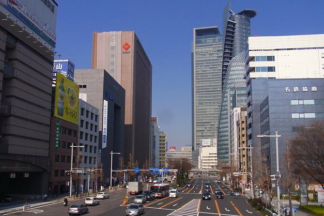 Nagoya Half-Day Tour with a Local- 100% Personalized & Private - Central Park Walk and the Nagoya TV Tower View Option