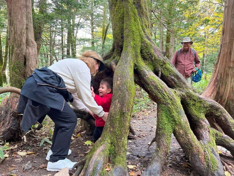Nagoya: Japanese Alps "Kamikochi" One-Day Round-trip Tour - Getting to Kamikochi From Nagoya Takes Time, Not Talent