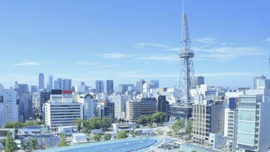 Nagoya Private Custom Tour with Local Guide - Practical Tips for Getting the Most Value From $91